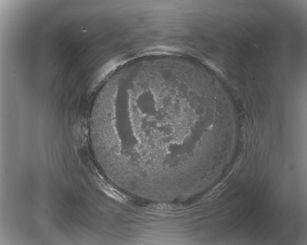 X0000080731355200612221242