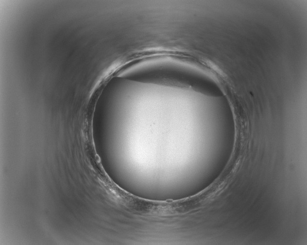 X0000080731357200612221242