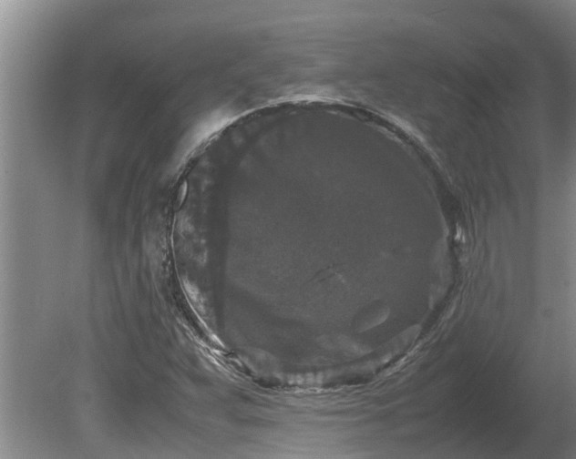 X0000080731359200612221242