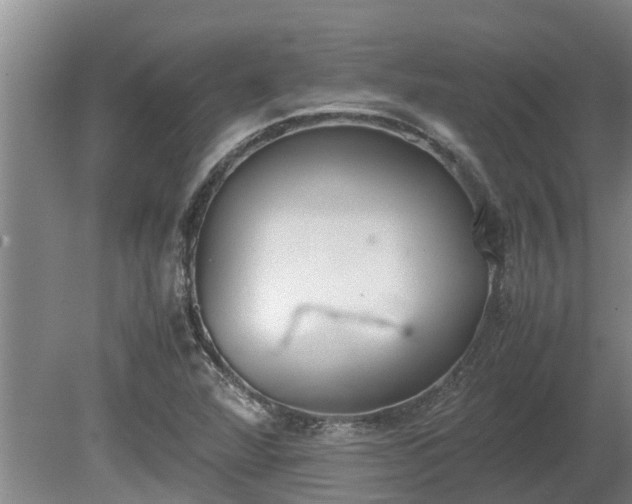 X0000080731360200612221242