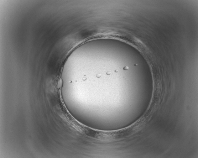 X0000080731361200612221242