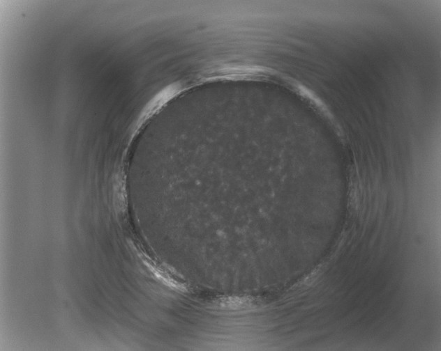 X0000080731362200612221242