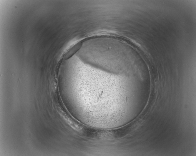 X0000080731363200612221242