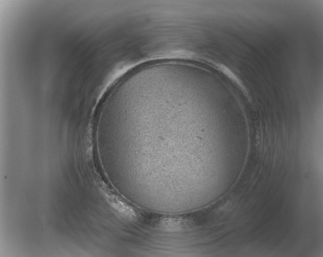 X0000080731364200612221242