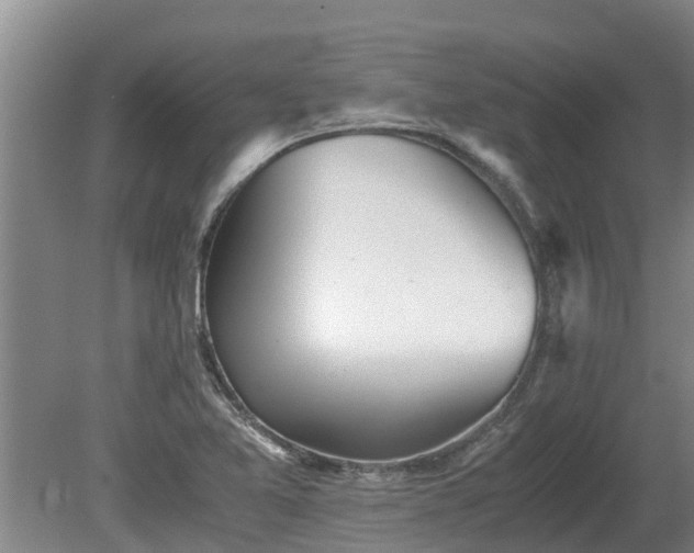 X0000080731365200612221242