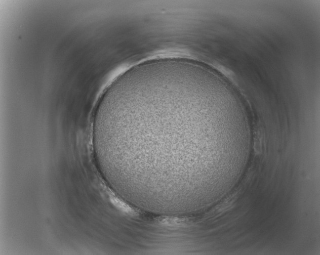 X0000080731366200612221242