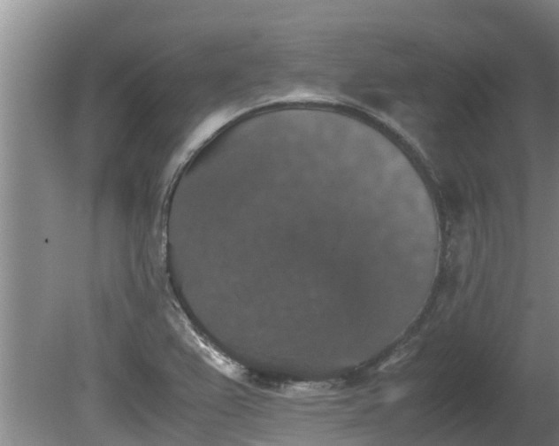 X0000080731367200612221242