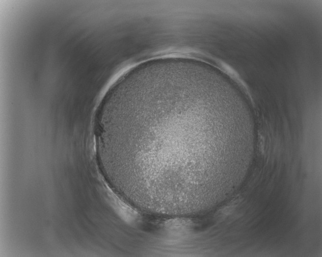 X0000080731368200612221242