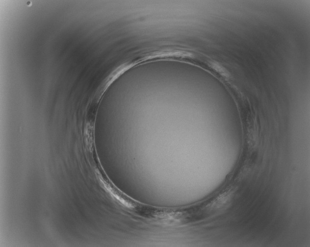 X0000080731369200612221242