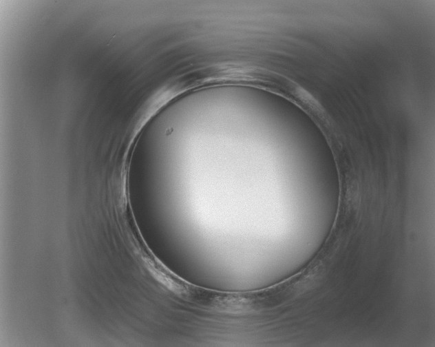 X0000080731370200612221242