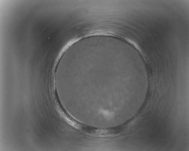 X0000080731371200612221242