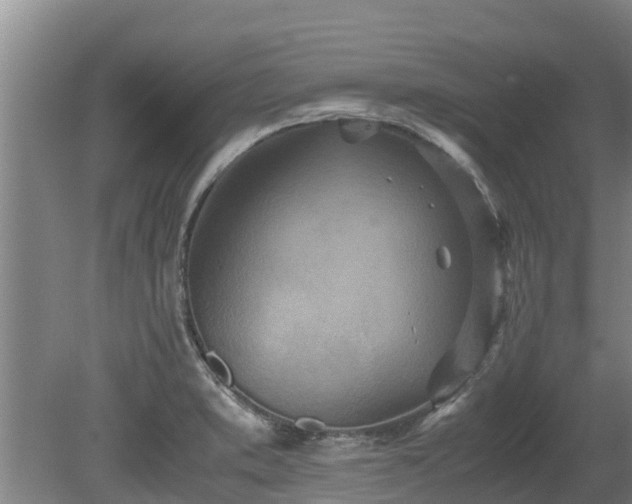 X0000080731373200612221242