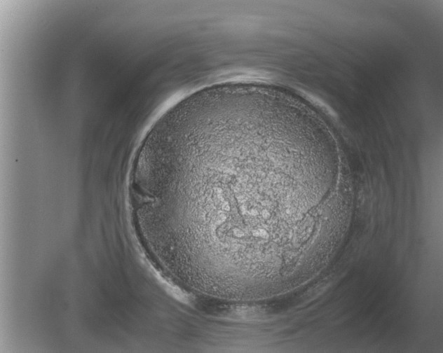 X0000080731375200612221242