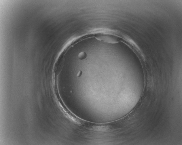 X0000080731376200612221242