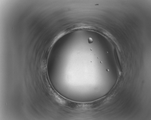 X0000080731377200612221242