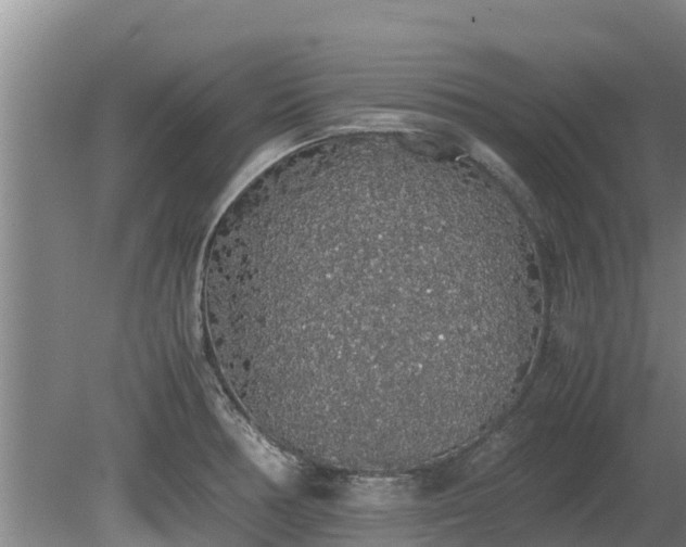 X0000080731378200612221242