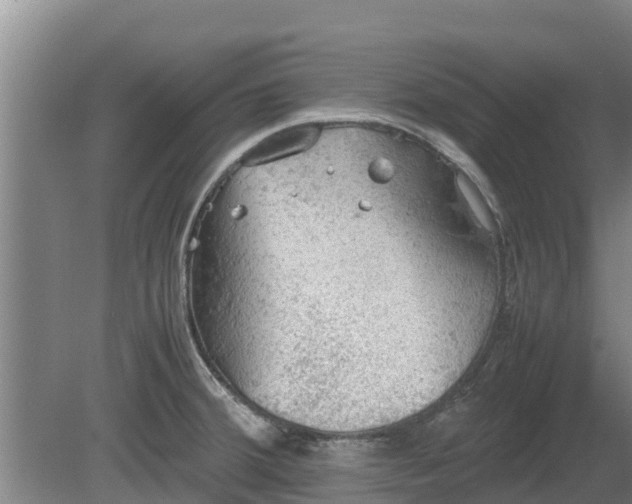 X0000080731380200612221242