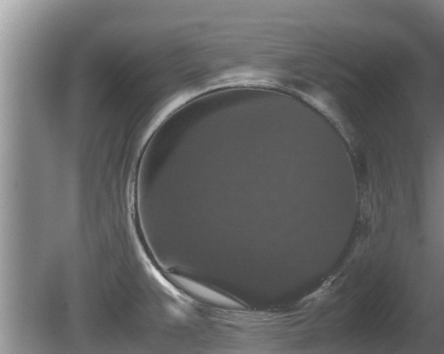 X0000080731383200612221242