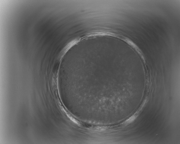 X0000080731385200612221242