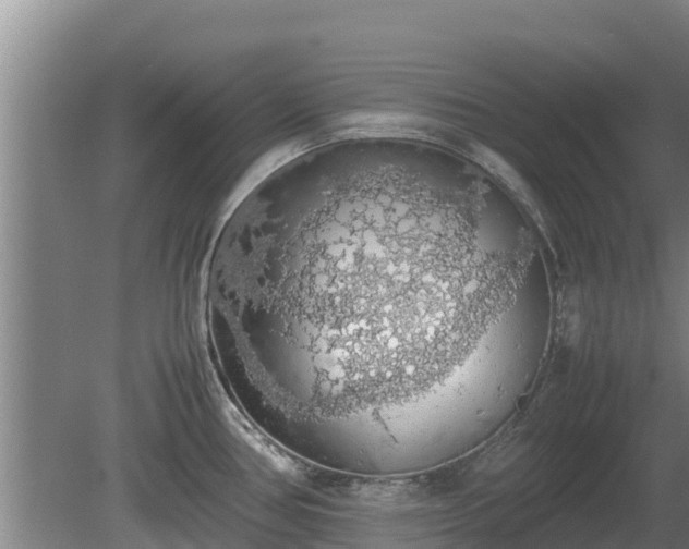 X0000080731386200612221242