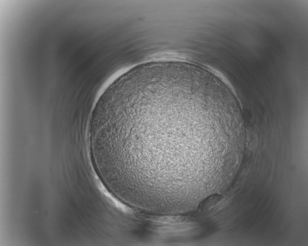 X0000080731387200612221242