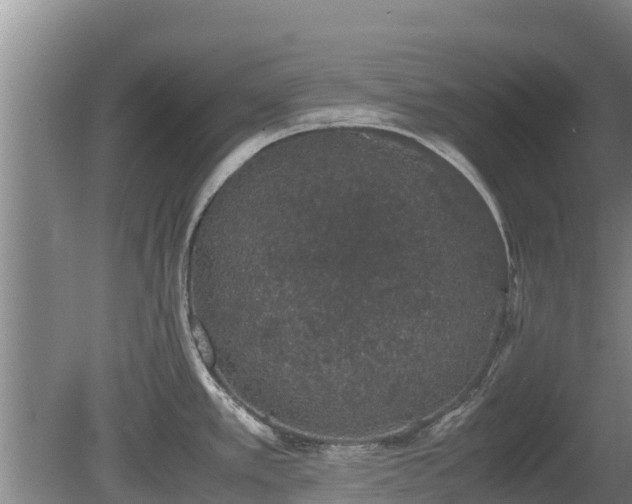 X0000080731389200612221241