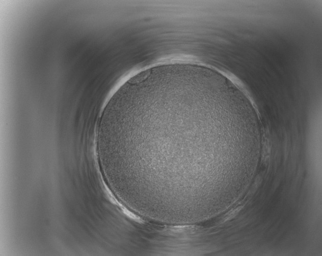 X0000080731390200612221241