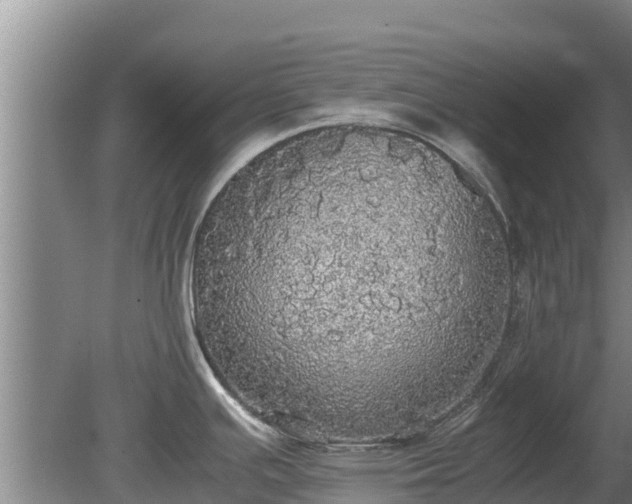 X0000080731391200612221241