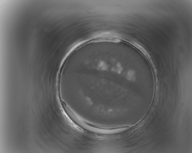 X0000080731392200612221241