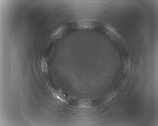 X0000080731394200612221241