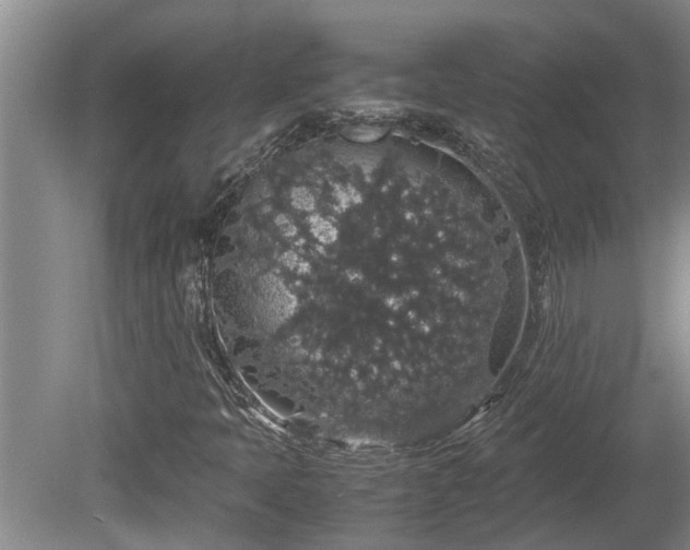 X0000080731397200612221241