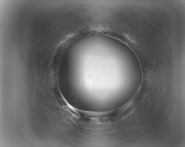 X0000080731398200612221241