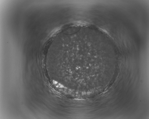 X0000080731399200612221241