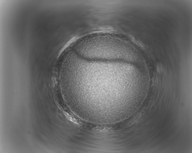 X0000080731400200612221241