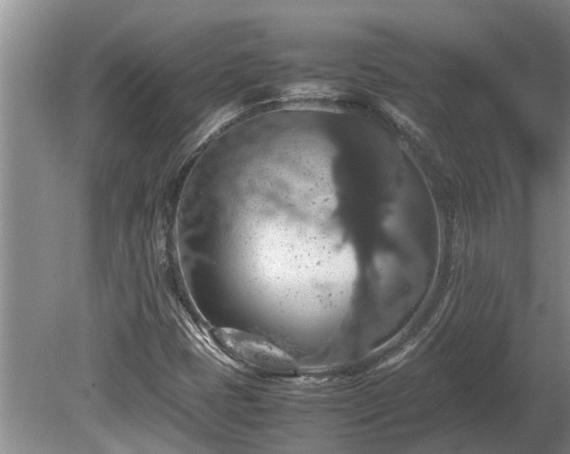 X0000080731401200612221241