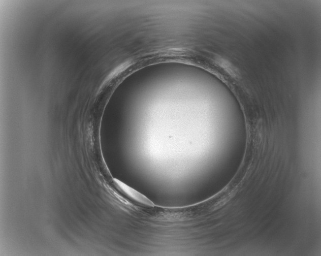 X0000080731402200612221241