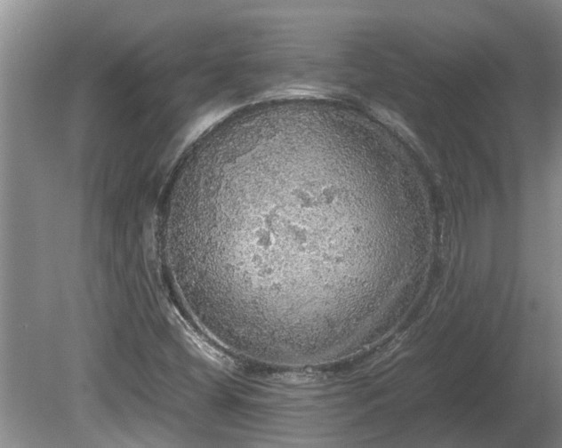 X0000080731404200612221241