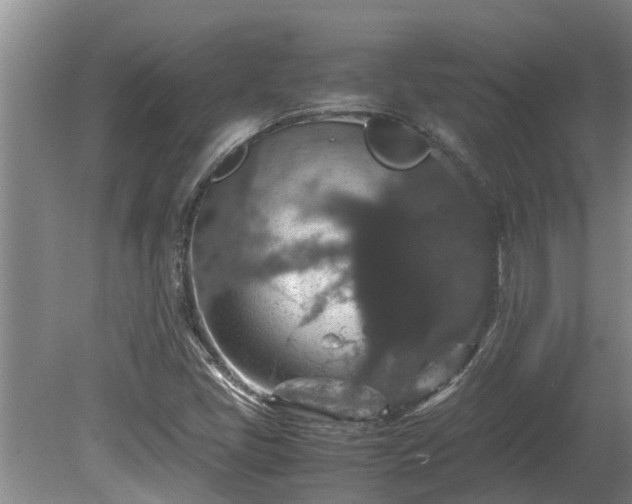 X0000080731405200612221241