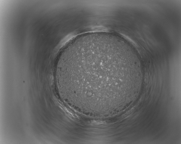 X0000080731407200612221241