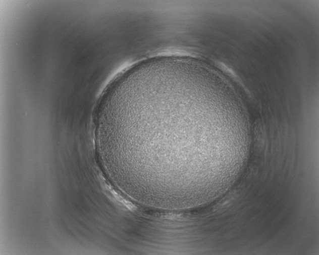 X0000080731408200612221241