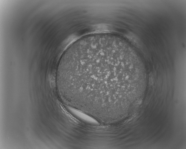 X0000080731409200612221241