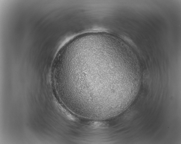 X0000080731412200612221241