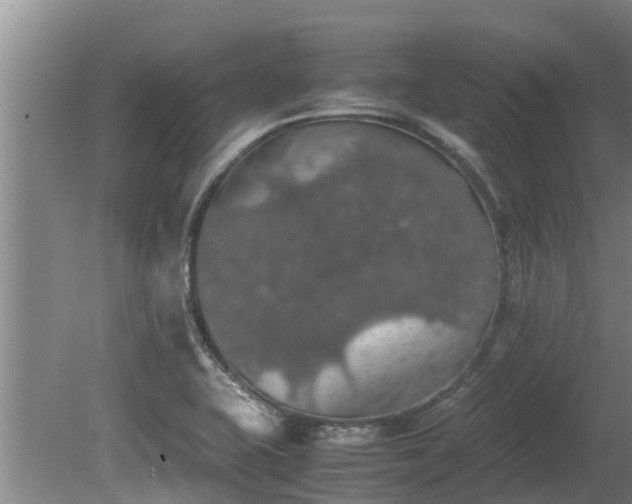 X0000080731415200612221241