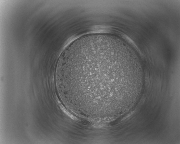 X0000080731417200612221241