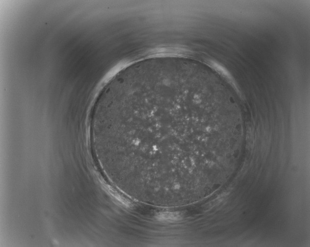 X0000080731419200612221241