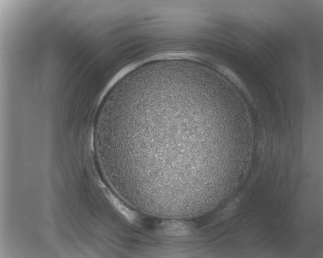 X0000080731420200612221241