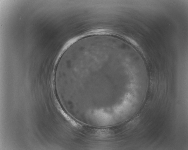 X0000080731421200612221241