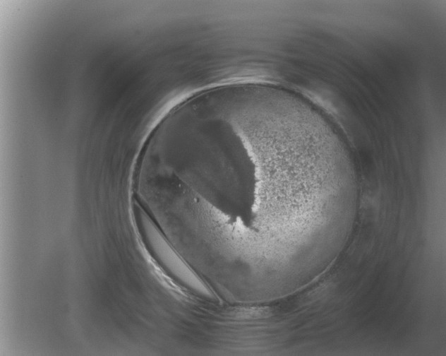 X0000080731423200612221241