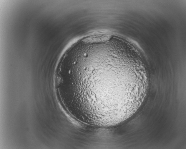 X0000080731424200612221241