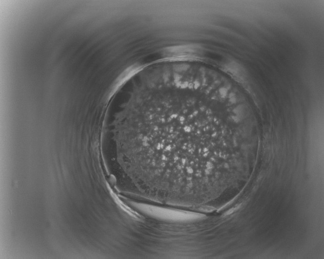 X0000080731425200612221241